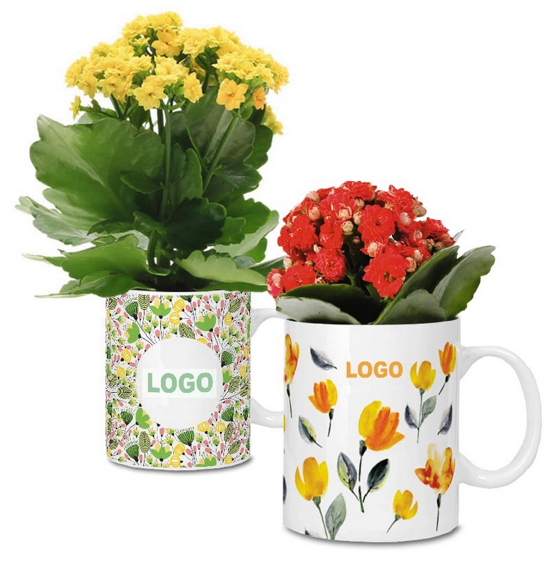 Живые цветы в кружках с логотипом на 8 Марта